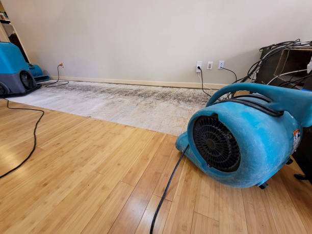 Professional Flood Damage Cleanup technician working in Elma, WA